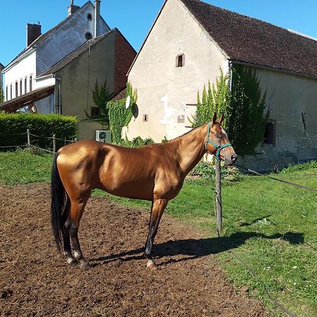 Le Moulin Neuf Villa Brienon-sur-Armancon Bagian luar foto