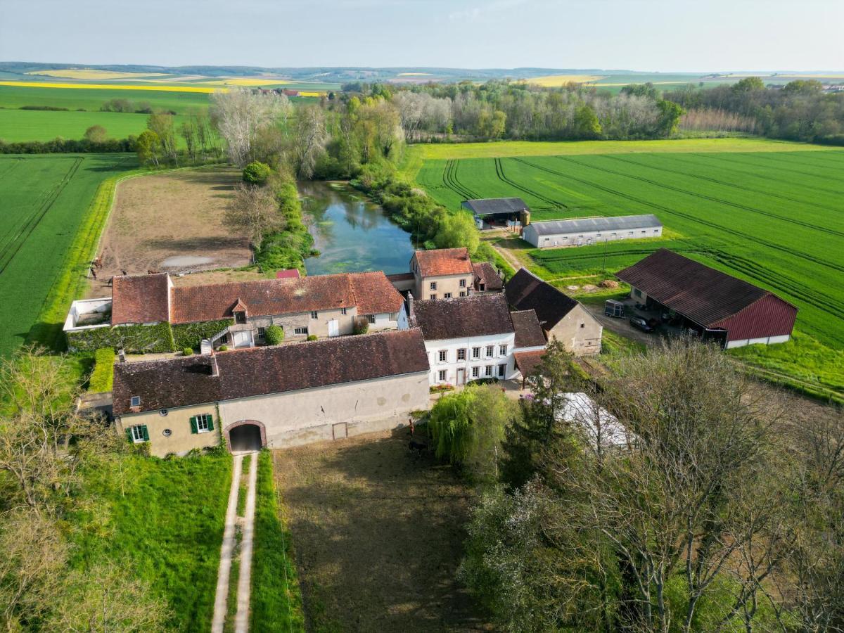 Le Moulin Neuf Villa Brienon-sur-Armancon Bagian luar foto