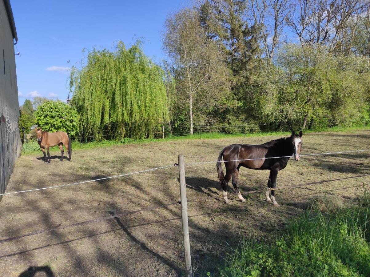 Le Moulin Neuf Villa Brienon-sur-Armancon Bagian luar foto