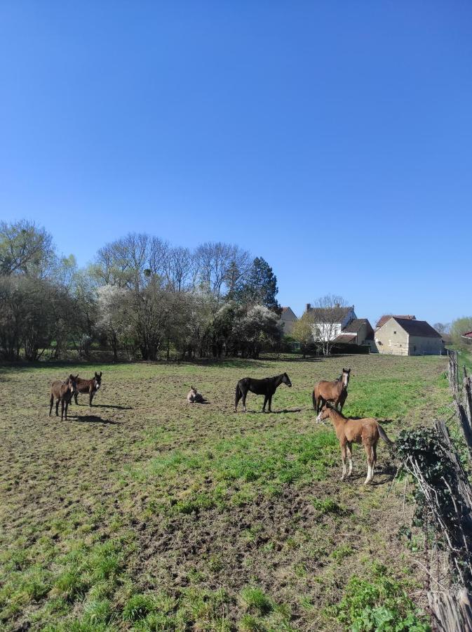 Le Moulin Neuf Villa Brienon-sur-Armancon Bagian luar foto