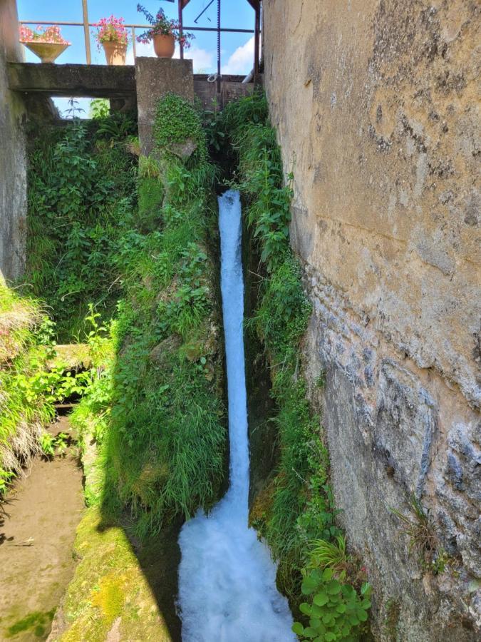 Le Moulin Neuf Villa Brienon-sur-Armancon Bagian luar foto